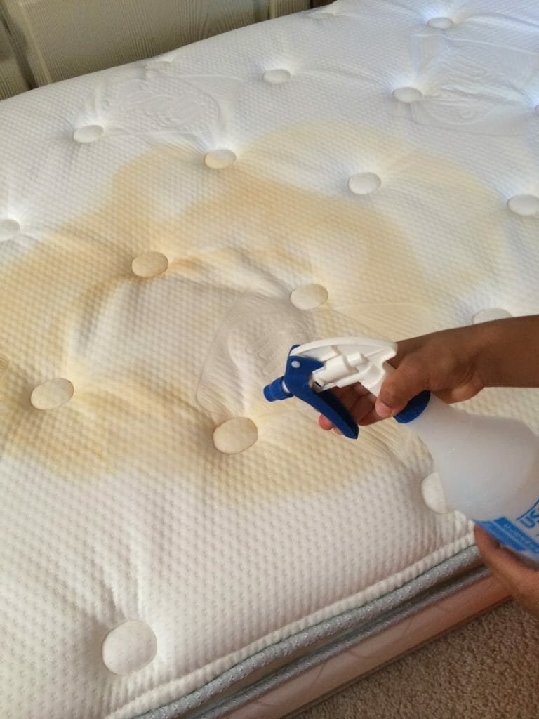 How To Clean A Futon Mattress Of Urine 1295 - How To Clean A Futon Mattress Of Urine? A Step-by-Step Guide