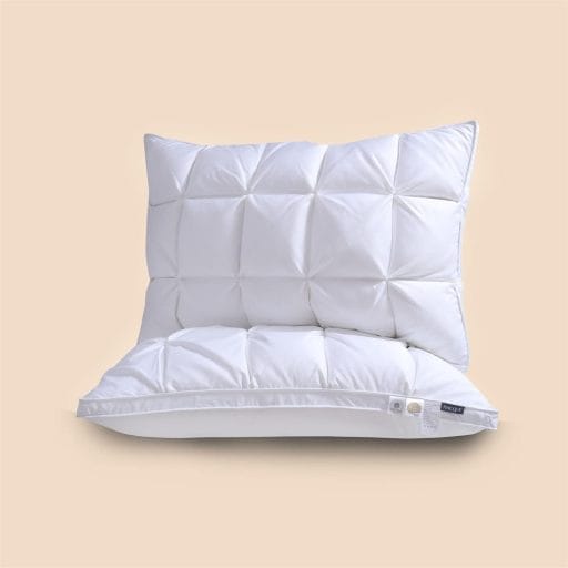 Nacove Heavenly Dreams Goose Down Pillow- Premium Quality Pillow - Breathable, Naturally Soft for - Sleep in Ultimate Comfort - Queen - 20 * 30(Free Pillowcase)